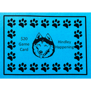$20 Hindley Games Punch Card